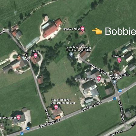 Bobbies Nest Villa Шладминг Екстериор снимка