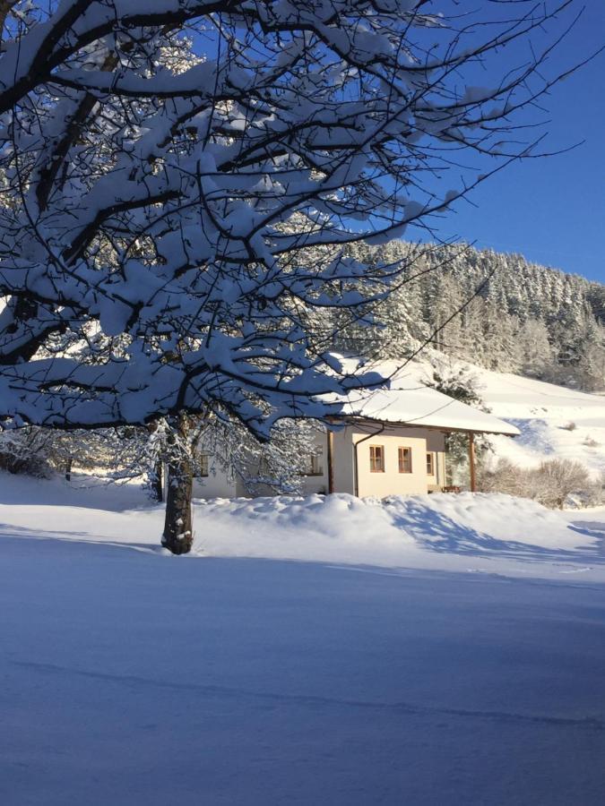 Bobbies Nest Villa Шладминг Екстериор снимка