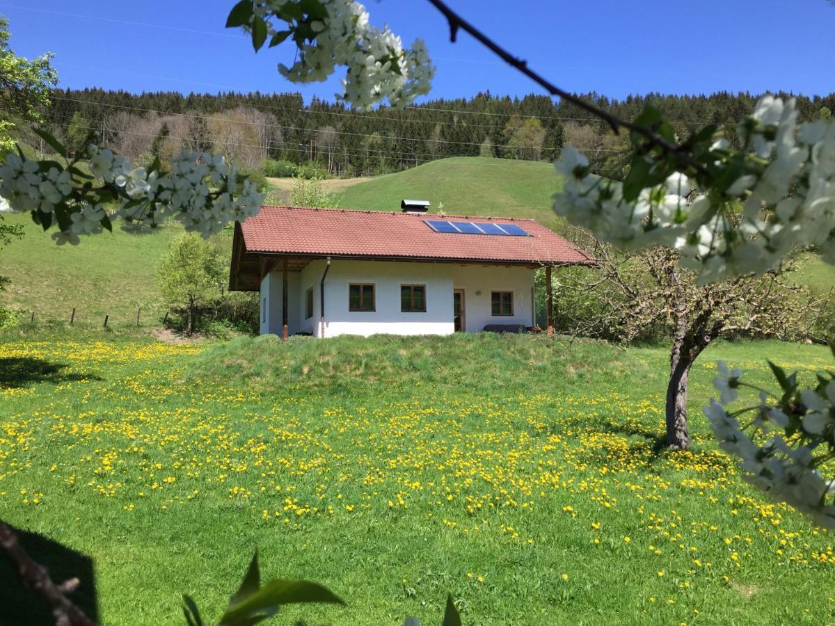 Bobbies Nest Villa Шладминг Екстериор снимка